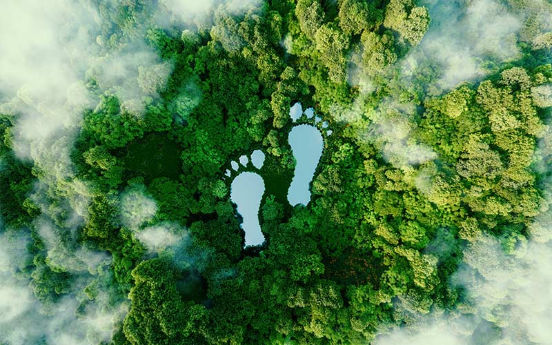 ecological footprint Amiblu Green